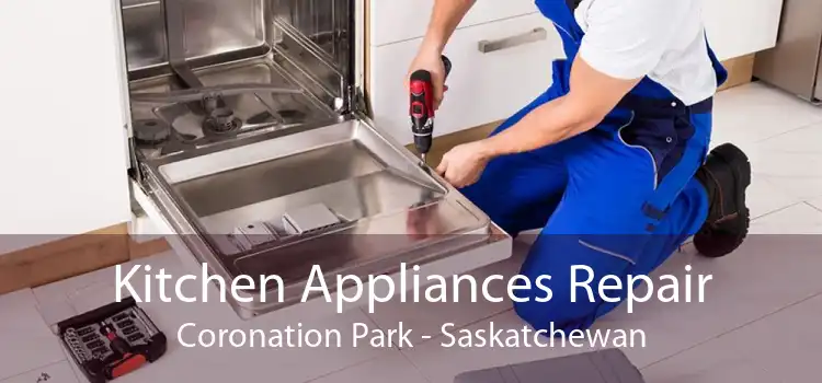 Kitchen Appliances Repair Coronation Park - Saskatchewan