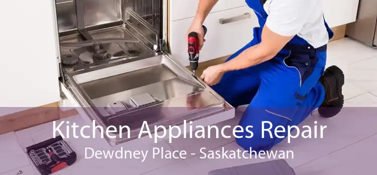 Kitchen Appliances Repair Dewdney Place - Saskatchewan