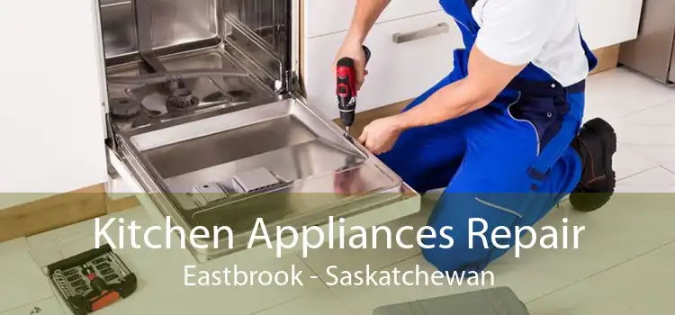 Kitchen Appliances Repair Eastbrook - Saskatchewan