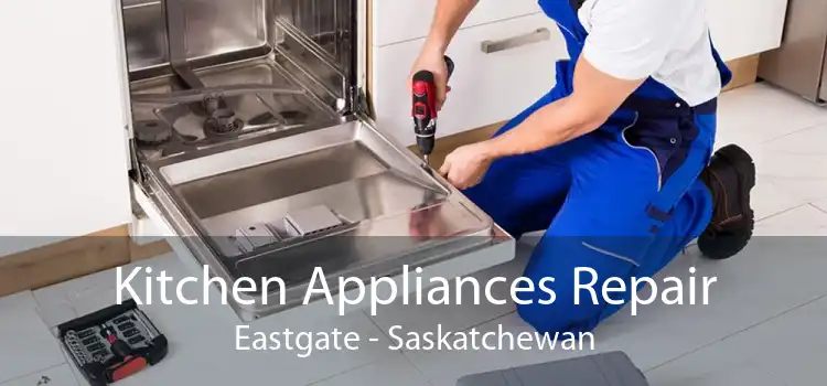 Kitchen Appliances Repair Eastgate - Saskatchewan