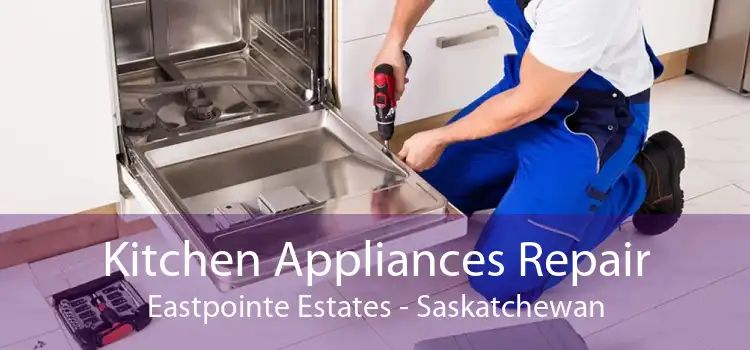 Kitchen Appliances Repair Eastpointe Estates - Saskatchewan