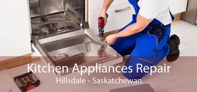 Kitchen Appliances Repair Hillsdale - Saskatchewan