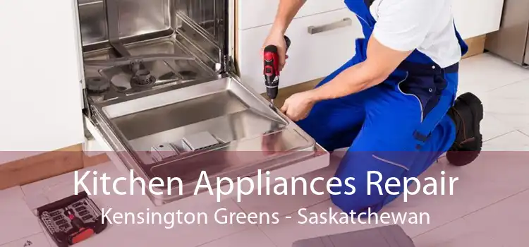 Kitchen Appliances Repair Kensington Greens - Saskatchewan