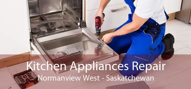 Kitchen Appliances Repair Normanview West - Saskatchewan