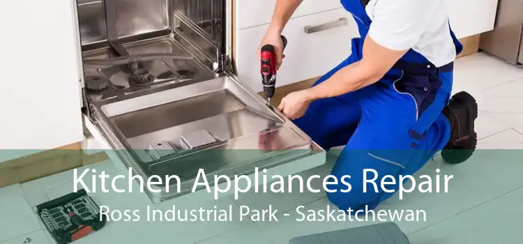 Kitchen Appliances Repair Ross Industrial Park - Saskatchewan