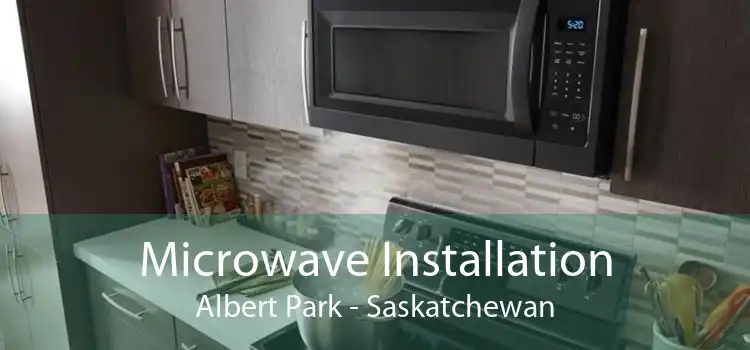 Microwave Installation Albert Park - Saskatchewan