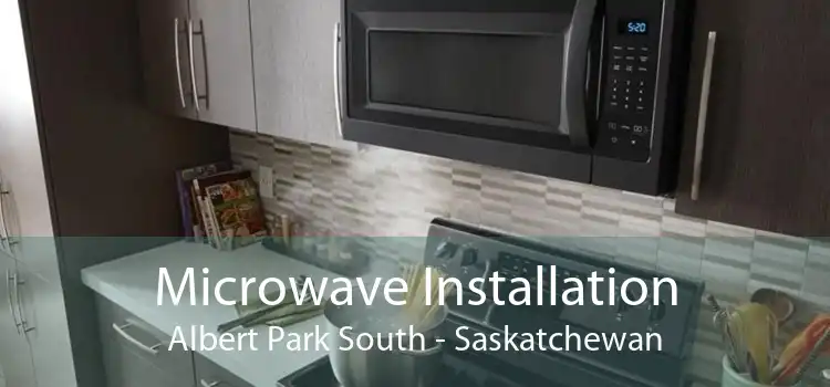 Microwave Installation Albert Park South - Saskatchewan