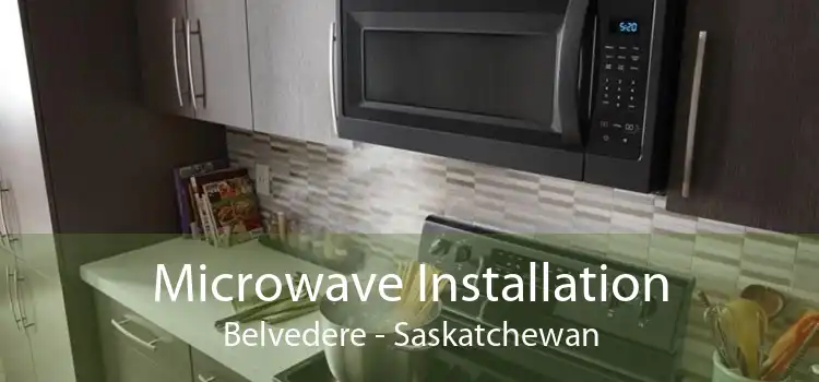 Microwave Installation Belvedere - Saskatchewan