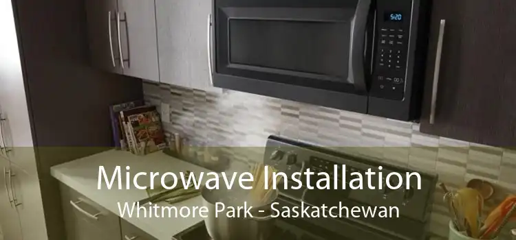 Microwave Installation Whitmore Park - Saskatchewan