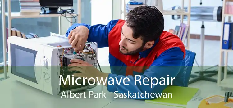 Microwave Repair Albert Park - Saskatchewan