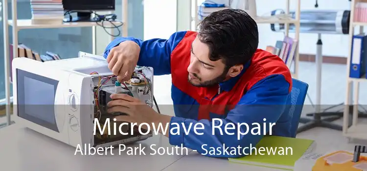 Microwave Repair Albert Park South - Saskatchewan