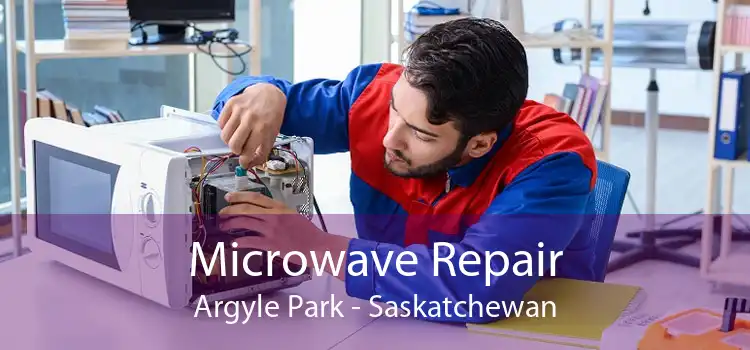 Microwave Repair Argyle Park - Saskatchewan