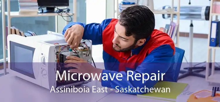 Microwave Repair Assiniboia East - Saskatchewan