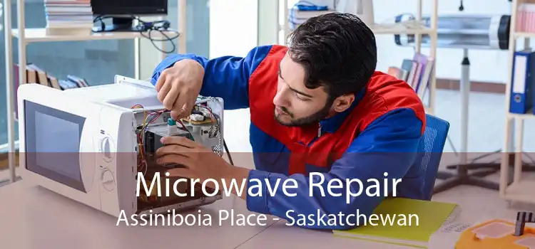 Microwave Repair Assiniboia Place - Saskatchewan