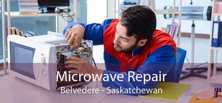 Microwave Repair Belvedere - Saskatchewan