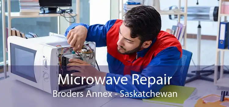 Microwave Repair Broders Annex - Saskatchewan