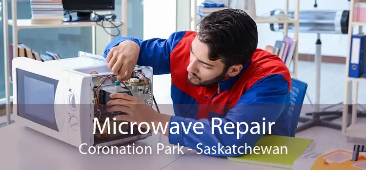 Microwave Repair Coronation Park - Saskatchewan