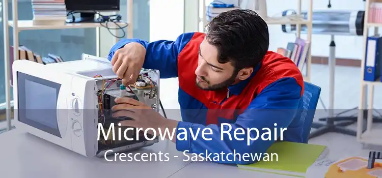 Microwave Repair Crescents - Saskatchewan