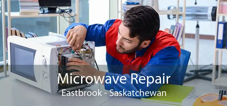 Microwave Repair Eastbrook - Saskatchewan