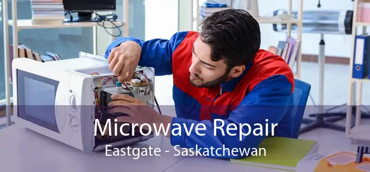 Microwave Repair Eastgate - Saskatchewan