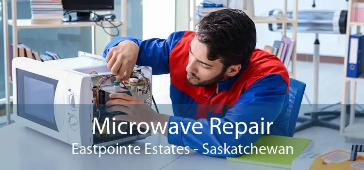 Microwave Repair Eastpointe Estates - Saskatchewan