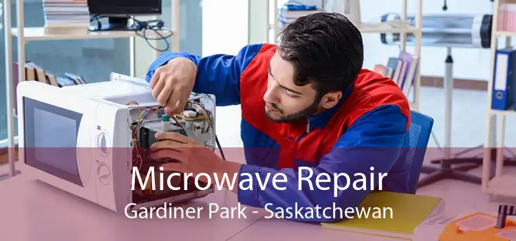 Microwave Repair Gardiner Park - Saskatchewan