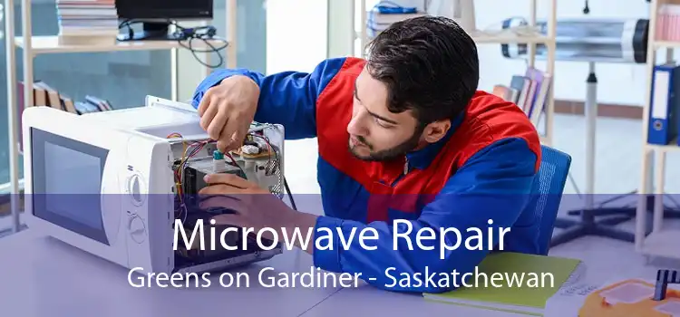 Microwave Repair Greens on Gardiner - Saskatchewan