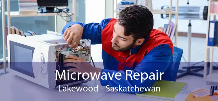 Microwave Repair Lakewood - Saskatchewan