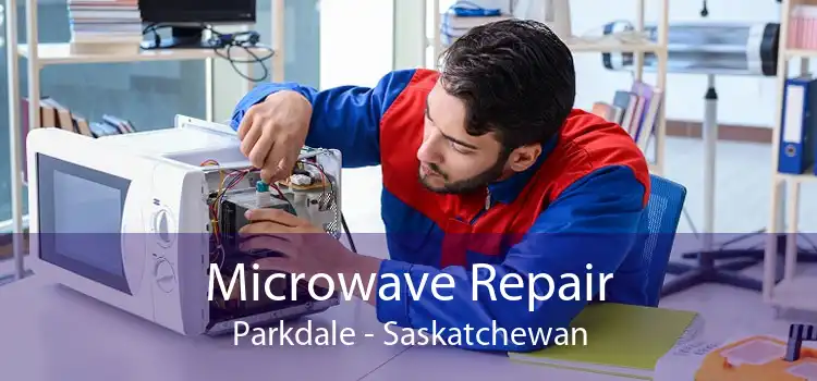 Microwave Repair Parkdale - Saskatchewan