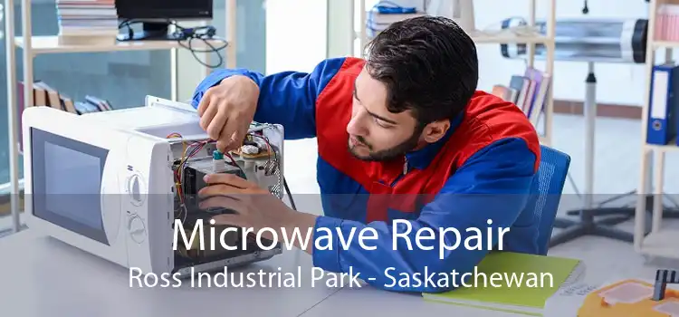 Microwave Repair Ross Industrial Park - Saskatchewan