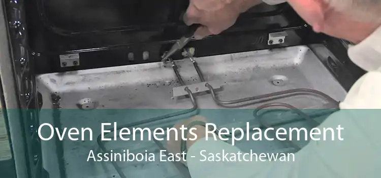 Oven Elements Replacement Assiniboia East - Saskatchewan