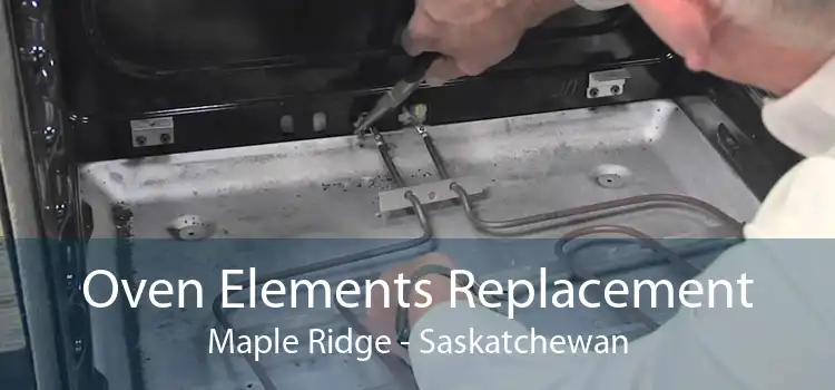 Oven Elements Replacement Maple Ridge - Saskatchewan