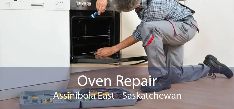 Oven Repair Assiniboia East - Saskatchewan