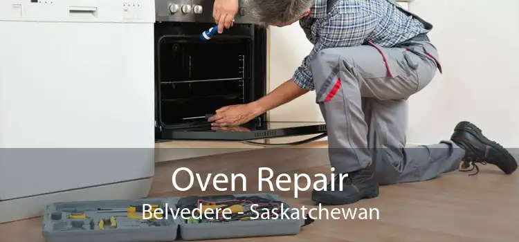 Oven Repair Belvedere - Saskatchewan