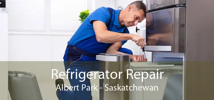 Refrigerator Repair Albert Park - Saskatchewan