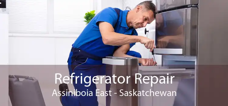 Refrigerator Repair Assiniboia East - Saskatchewan