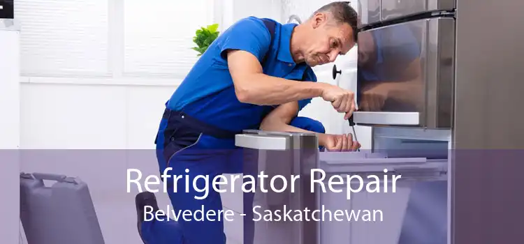 Refrigerator Repair Belvedere - Saskatchewan