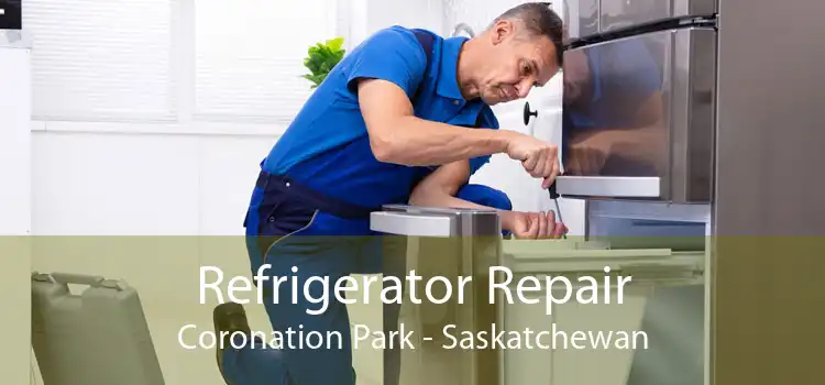 Refrigerator Repair Coronation Park - Saskatchewan