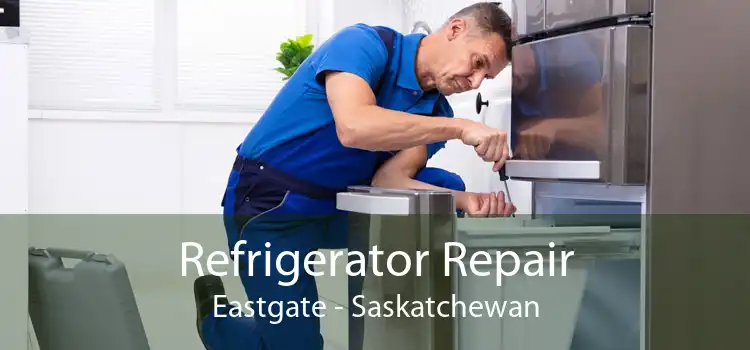 Refrigerator Repair Eastgate - Saskatchewan