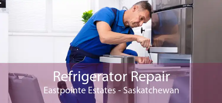 Refrigerator Repair Eastpointe Estates - Saskatchewan