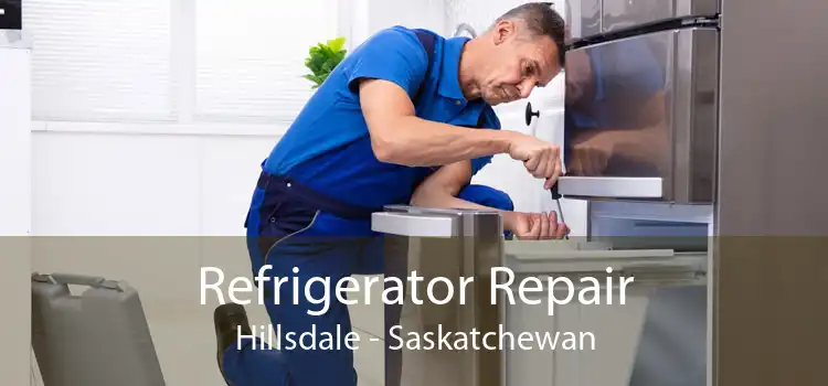 Refrigerator Repair Hillsdale - Saskatchewan