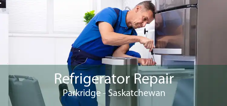 Refrigerator Repair Parkridge - Saskatchewan