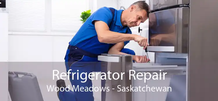 Refrigerator Repair Wood Meadows - Saskatchewan