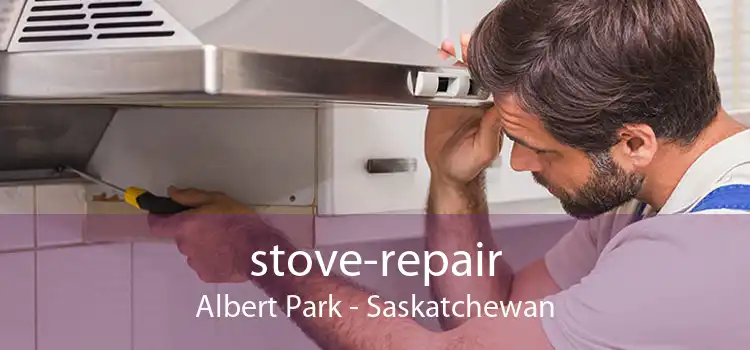 stove-repair Albert Park - Saskatchewan