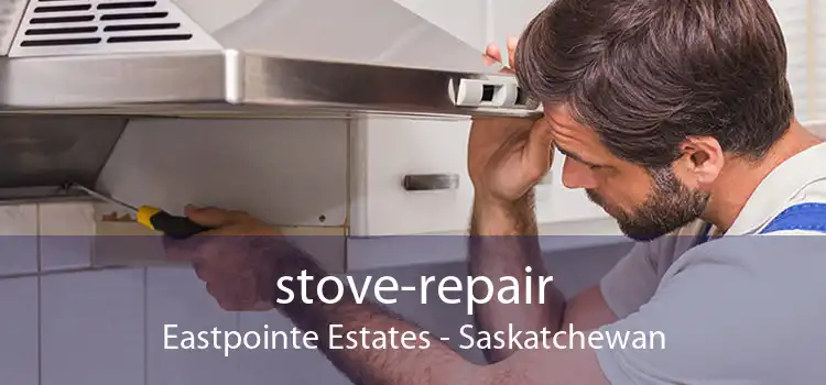 stove-repair Eastpointe Estates - Saskatchewan